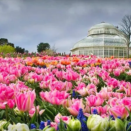 别墅 Gems In 拉托特