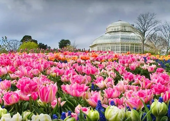 Villa Gems In Ratoath